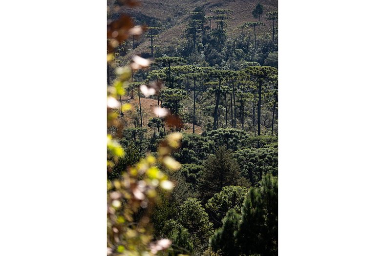 Charmosa Residência - Campos do Jordão - Condomínio | SPcs23